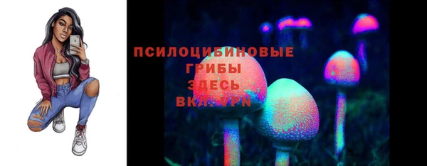 соль ск Алзамай