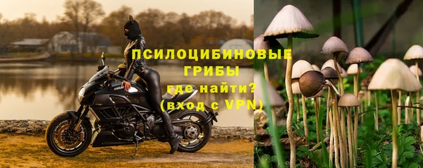 синтетический гашиш Алексин