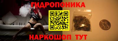 PSILOCYBIN Кулебаки