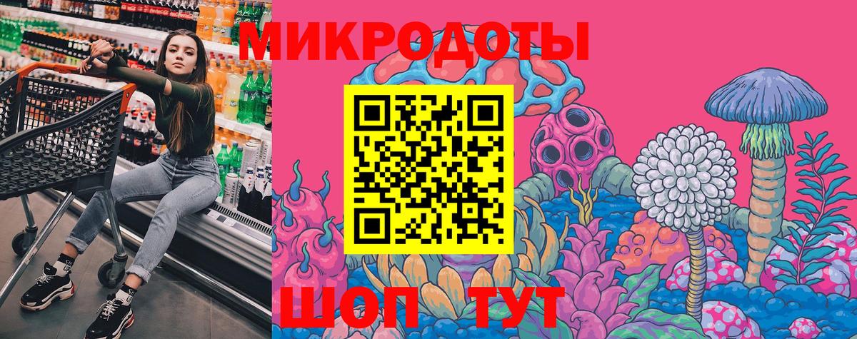Псилоцибиновые грибы Psilocybine cubensis Жуковский