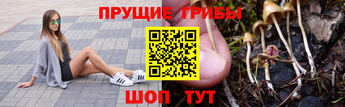 Жуковский  Галлюциногенные грибы GOLDEN TEACHER  Вход с VPN 